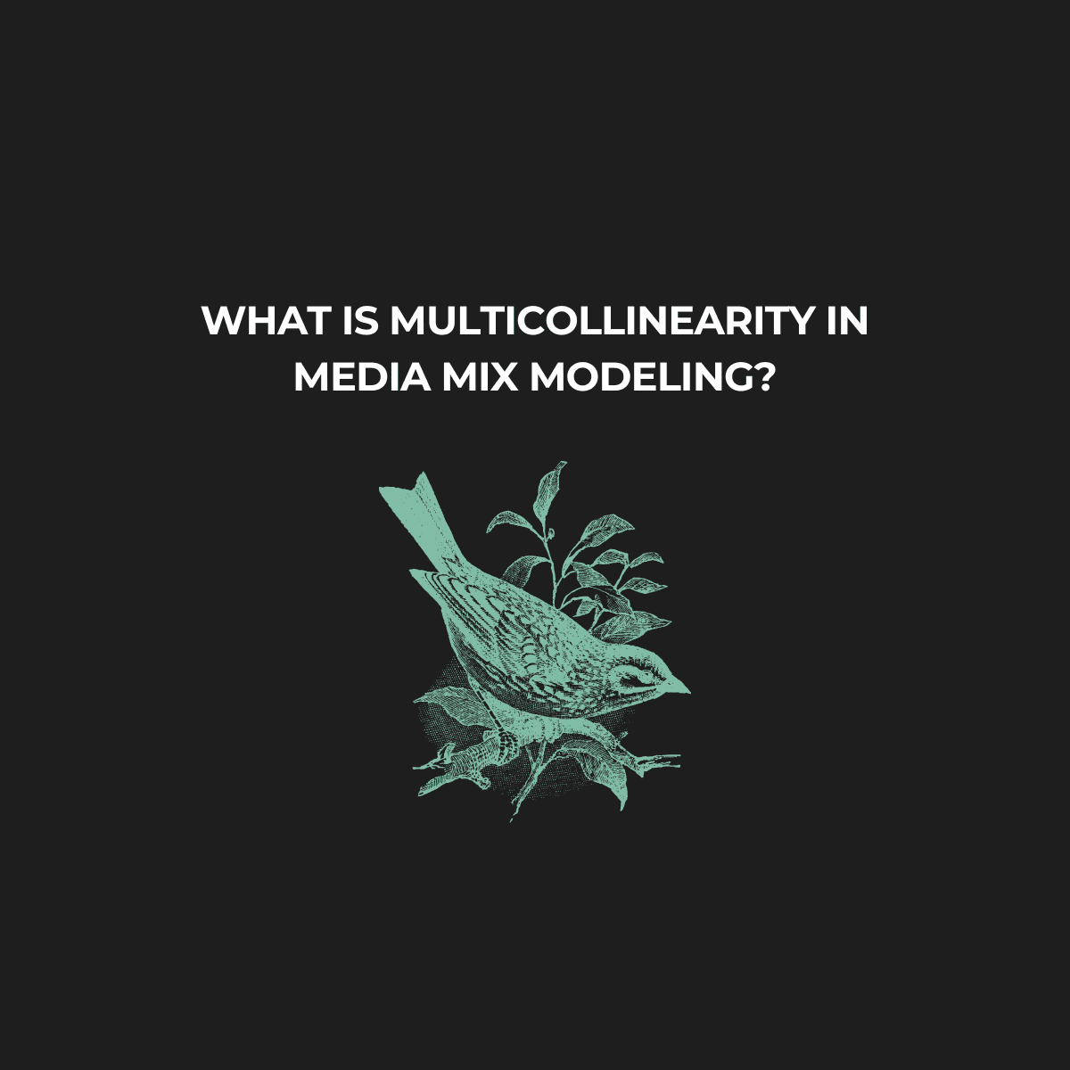 What Is Multicollinearity in Media Mix Modeling?