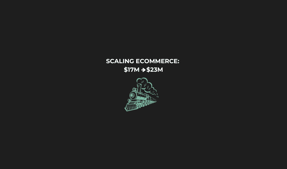 Stella Case Study: Scaling Google Ads Profitably by Reframing ROAS Targets