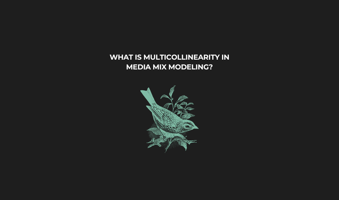 What Is Multicollinearity in Media Mix Modeling?